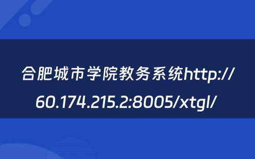 合肥城市学院教务系统http://60.174.215.2:8005/xtgl/ 