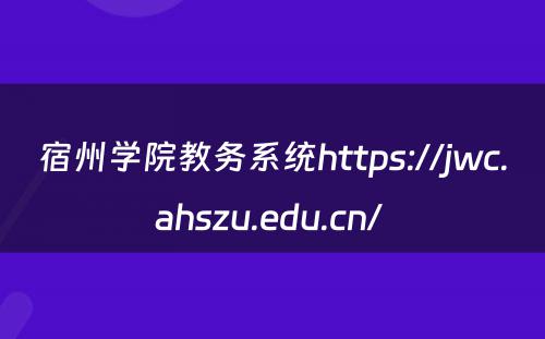 宿州学院教务系统https://jwc.ahszu.edu.cn/ 