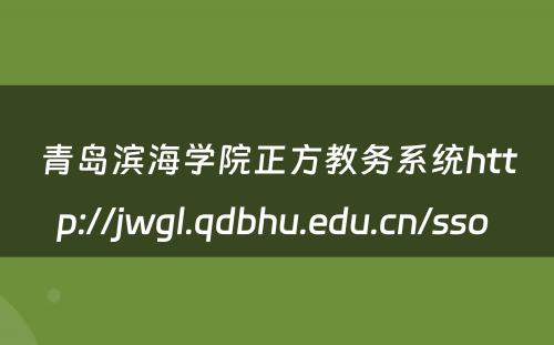 青岛滨海学院正方教务系统http://jwgl.qdbhu.edu.cn/sso 