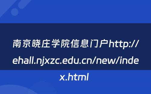 南京晓庄学院信息门户http://ehall.njxzc.edu.cn/new/index.html 