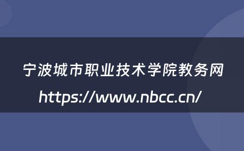 宁波城市职业技术学院教务网https://www.nbcc.cn/ 