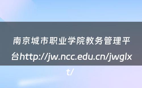 南京城市职业学院教务管理平台http://jw.ncc.edu.cn/jwglxt/ 