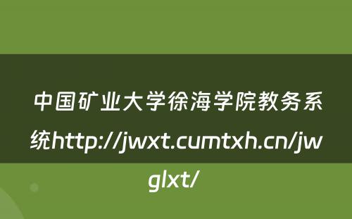 中国矿业大学徐海学院教务系统http://jwxt.cumtxh.cn/jwglxt/ 