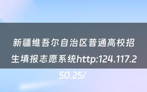 新疆维吾尔自治区普通高校招生填报志愿系统http:124.117.250.25/ 