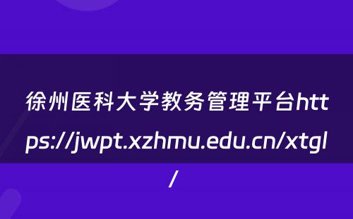 徐州医科大学教务管理平台https://jwpt.xzhmu.edu.cn/xtgl/ 