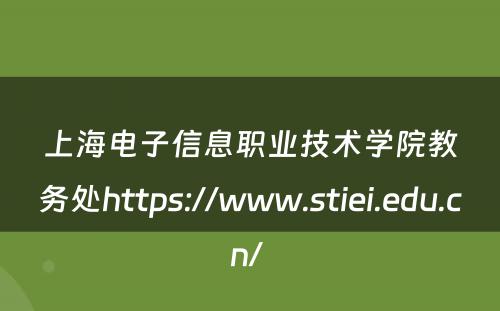 上海电子信息职业技术学院教务处https://www.stiei.edu.cn/ 
