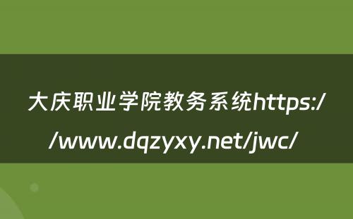 大庆职业学院教务系统https://www.dqzyxy.net/jwc/ 
