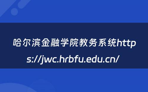 哈尔滨金融学院教务系统https://jwc.hrbfu.edu.cn/ 