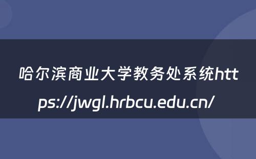 哈尔滨商业大学教务处系统https://jwgl.hrbcu.edu.cn/ 