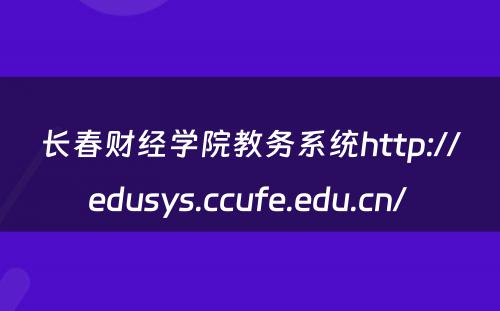 长春财经学院教务系统http://edusys.ccufe.edu.cn/ 