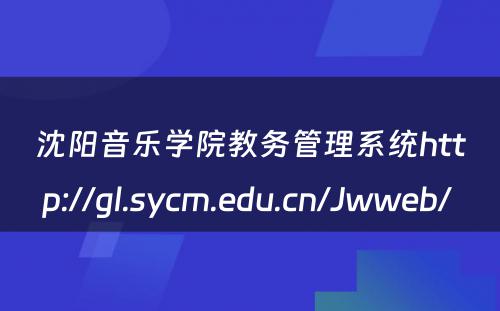 沈阳音乐学院教务管理系统http://gl.sycm.edu.cn/Jwweb/ 