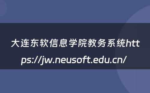 大连东软信息学院教务系统https://jw.neusoft.edu.cn/ 