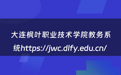 大连枫叶职业技术学院教务系统https://jwc.dlfy.edu.cn/ 