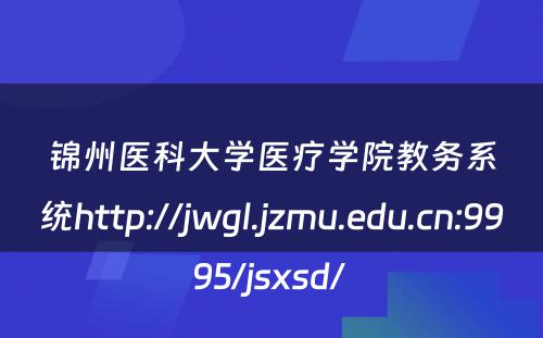锦州医科大学医疗学院教务系统http://jwgl.jzmu.edu.cn:9995/jsxsd/ 
