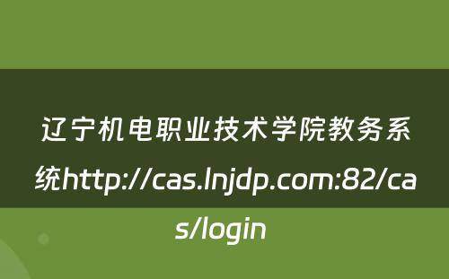 辽宁机电职业技术学院教务系统http://cas.lnjdp.com:82/cas/login 