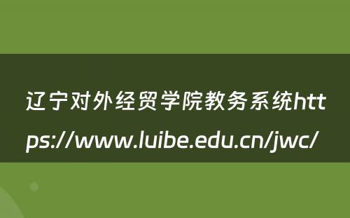 辽宁对外经贸学院教务系统https://www.luibe.edu.cn/jwc/ 