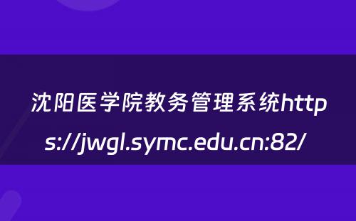 沈阳医学院教务管理系统https://jwgl.symc.edu.cn:82/ 