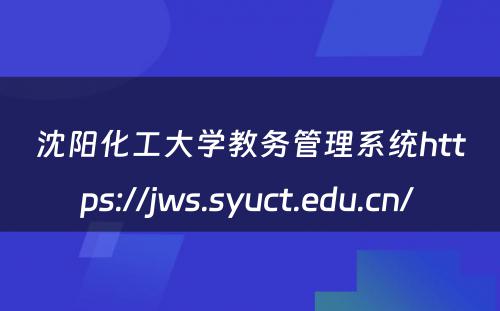 沈阳化工大学教务管理系统https://jws.syuct.edu.cn/ 