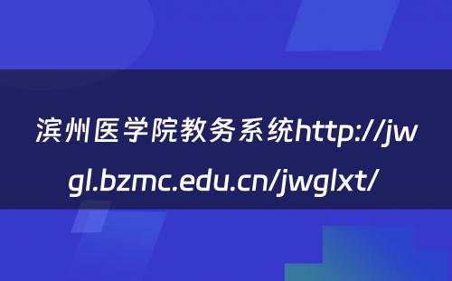 滨州医学院教务系统http://jwgl.bzmc.edu.cn/jwglxt/ 