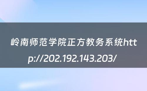 岭南师范学院正方教务系统http://202.192.143.203/ 