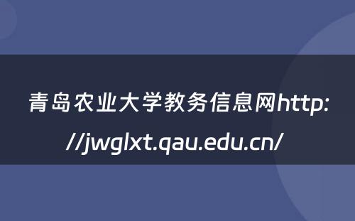 青岛农业大学教务信息网http://jwglxt.qau.edu.cn/ 