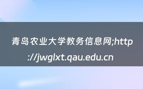 青岛农业大学教务信息网;http://jwglxt.qau.edu.cn 
