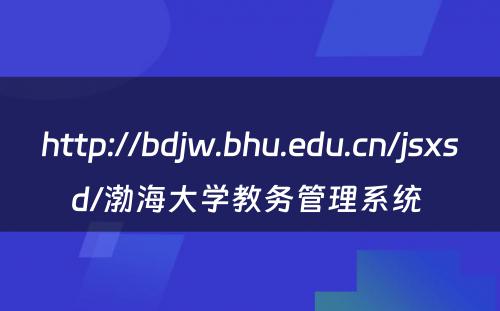 http://bdjw.bhu.edu.cn/jsxsd/渤海大学教务管理系统 