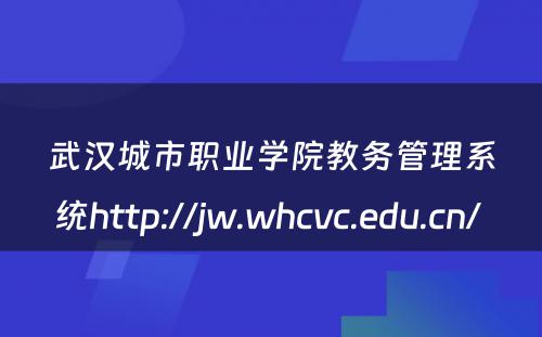 武汉城市职业学院教务管理系统http://jw.whcvc.edu.cn/ 