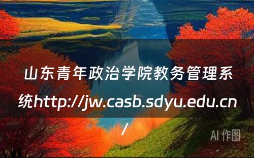 山东青年政治学院教务管理系统http://jw.casb.sdyu.edu.cn/ 