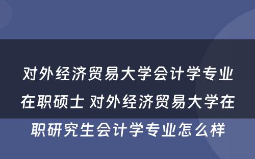 对外经济贸易大学会计学专业在职硕士 对外经济贸易大学在职研究生会计学专业怎么样