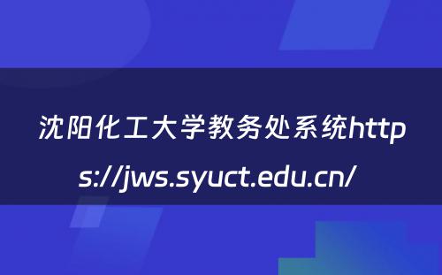 沈阳化工大学教务处系统https://jws.syuct.edu.cn/ 