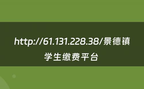 http://61.131.228.38/景德镇学生缴费平台 