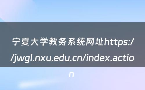 宁夏大学教务系统网址https://jwgl.nxu.edu.cn/index.action 