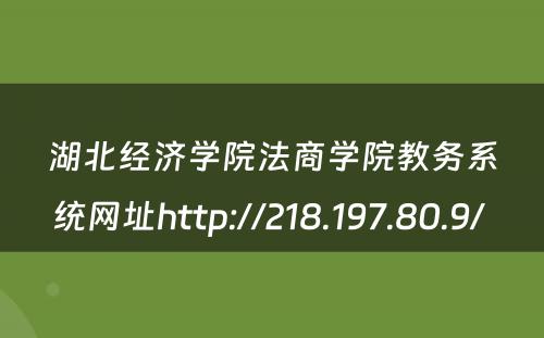 湖北经济学院法商学院教务系统网址http://218.197.80.9/ 