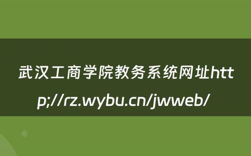 武汉工商学院教务系统网址http;//rz.wybu.cn/jwweb/ 