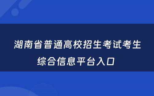湖南省普通高校招生考试考生综合信息平台入口 