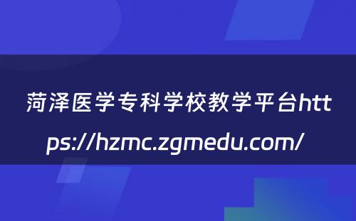 菏泽医学专科学校教学平台https://hzmc.zgmedu.com/ 