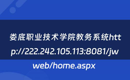 娄底职业技术学院教务系统http://222.242.105.113:8081/jwweb/home.aspx 