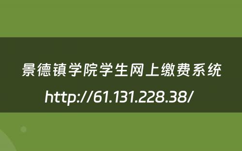 景德镇学院学生网上缴费系统http://61.131.228.38/ 