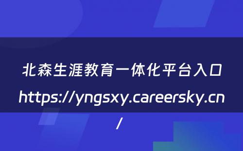 北森生涯教育一体化平台入口https://yngsxy.careersky.cn/ 