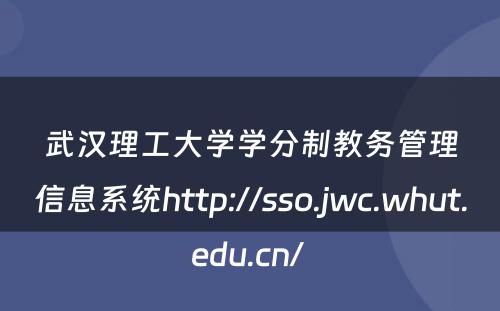 武汉理工大学学分制教务管理信息系统http://sso.jwc.whut.edu.cn/ 