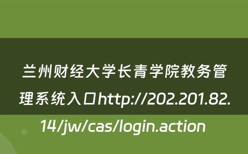 兰州财经大学长青学院教务管理系统入口http://202.201.82.14/jw/cas/login.action 