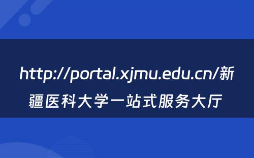 http://portal.xjmu.edu.cn/新疆医科大学一站式服务大厅 