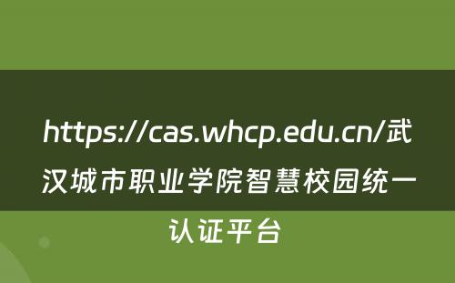 https://cas.whcp.edu.cn/武汉城市职业学院智慧校园统一认证平台 