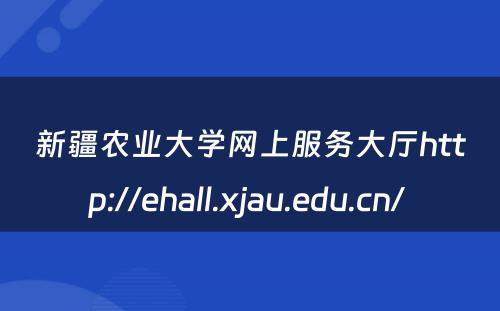 新疆农业大学网上服务大厅http://ehall.xjau.edu.cn/ 