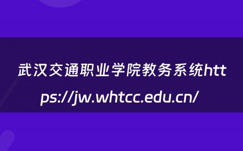 武汉交通职业学院教务系统https://jw.whtcc.edu.cn/ 