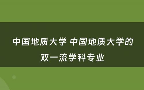 中国地质大学 中国地质大学的双一流学科专业