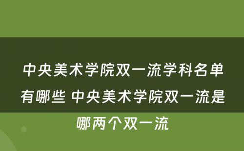 中央美术学院双一流学科名单有哪些 中央美术学院双一流是哪两个双一流