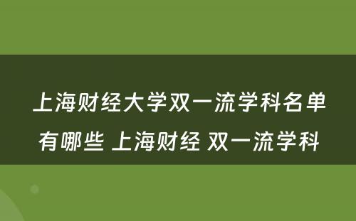 上海财经大学双一流学科名单有哪些 上海财经 双一流学科