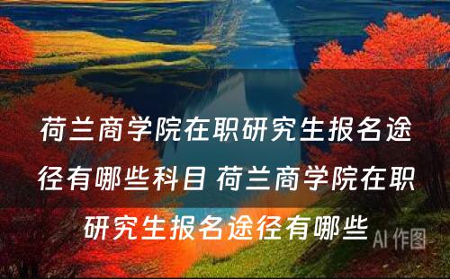 荷兰商学院在职研究生报名途径有哪些科目 荷兰商学院在职研究生报名途径有哪些